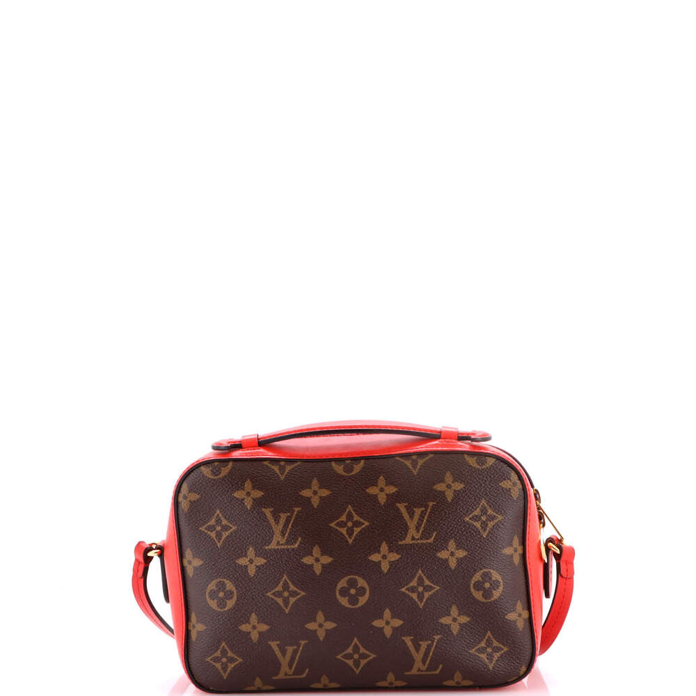 Louis Vuitton Saintonge Handbag Monogram Canvas with Leather - Picture 3 of 8